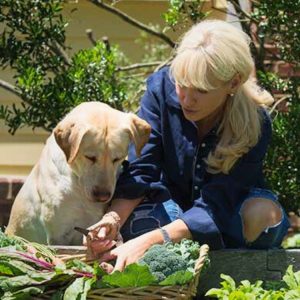 Lucy Diesel with her dog, a yellow lab, working in her vegetable garden